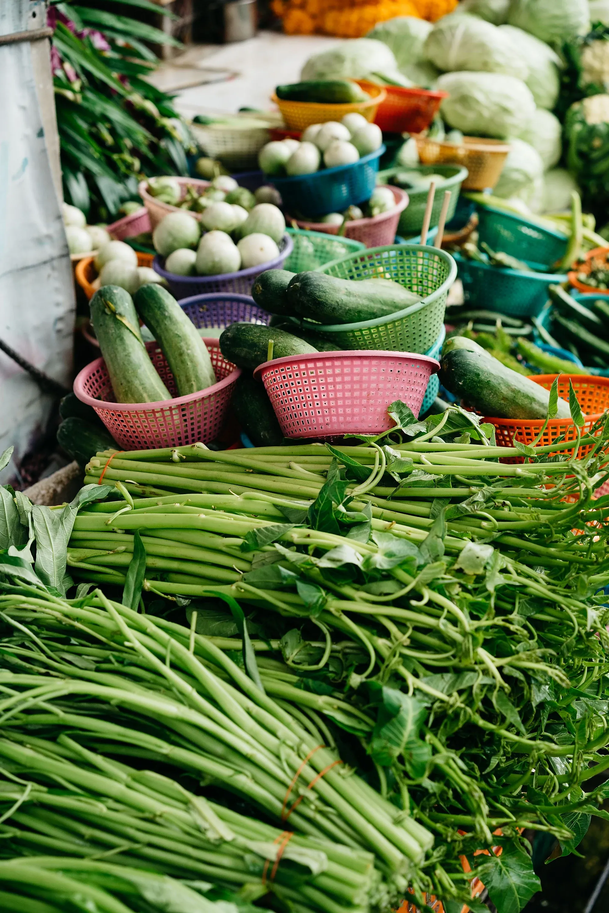 Fresh organic vegetables